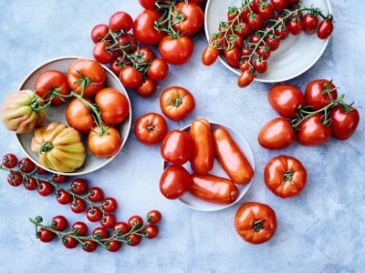 Op het keukenaanrecht, in betonlook, liggen verschillende variëteiten van tomaten. 50 tinten rood in 1 beeld. 