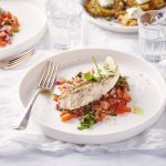 Een rond bordje staat op tafel. De kleurrijke tomatensalsa springt in het oog, hierop ligt een stukje vis. Rode poon, lekker van bij ons.  