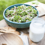 Salade van krulandijvie met West-Vlaamse gerookte sprot, Hoeveschapenkaas uit de Vlaamse Ardennen en een stroop-mosterd sausje