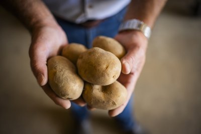 Aardappelen 't Engebroeckhof Aardappelen 't Engebroeckhof