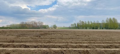 Aardappelveld Aardappelveld