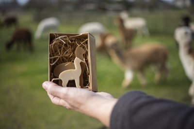 Alpacazeep van Alpacalokeren Alpacazeep van Alpacalokeren
