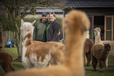 Zaakvoerders van AlpacaLokeren Zaakvoerders van AlpacaLokeren