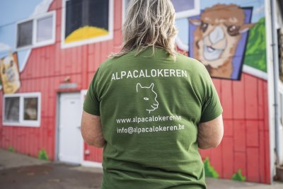 Jeugdverblijf De Blije Alpaca Jeugdverblijf De Blije Alpaca