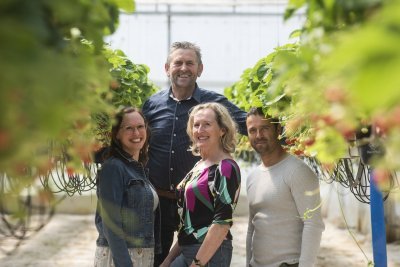 Aardbeien Boermans Aardbeien Boermans
