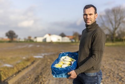 Witloofteler Stijn Witloofteler Stijn