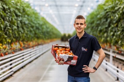 Tomatenteler Mitch Vermeiren Tomatenteler Mitch Vermeiren