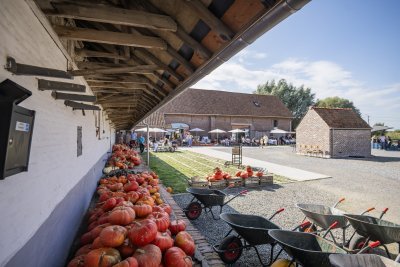 Hoeve De Drie Linden Hoeve De Drie Linden