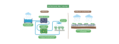 Duurzaam waterbeheer AGF serreteelt