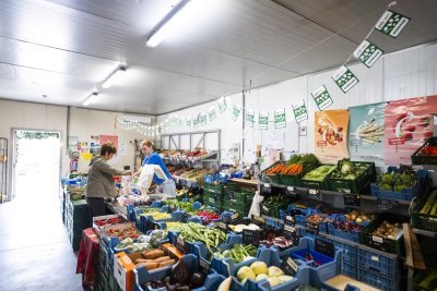 Hoevewinkel Recht van 't veld