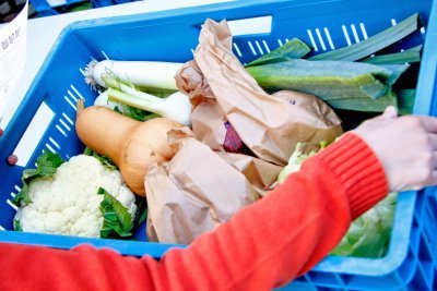 Bac de légumes La Ruche Qui Dit Oui