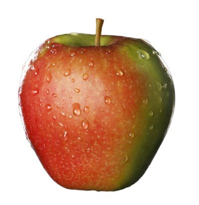 Belgica Belgica