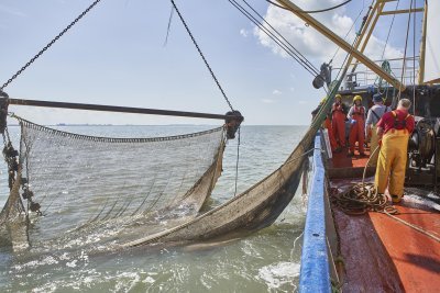 Vissersboot met boomkor