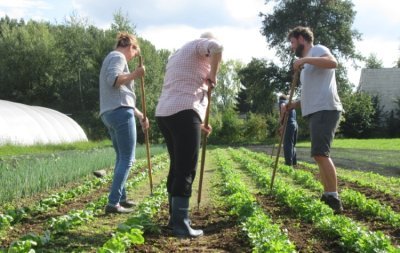 Aan het werk op het akker © beeld: Den Diepen Boomgaard