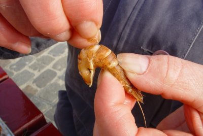Pel eventueel de achterblijvende schalen van het garnaalvlees en trek de kop los. Pel eventueel de achterblijvende schalen van het garnaalvlees en trek de kop los.