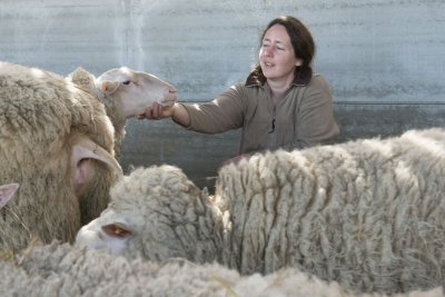 De Schapenmelkerij van Willem en Krista 