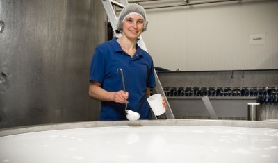 Handgeschepte crottin Handgeschepte crottin