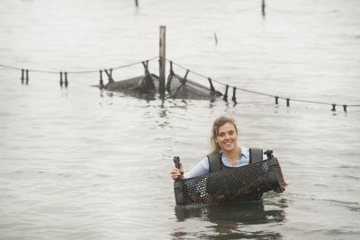 oogsten van oesters