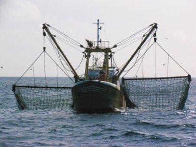 Vissersboot met boomkor