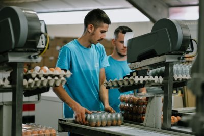 Verpakkingslijn bij 't Munckenei Verpakkingslijn bij 't Munckenei