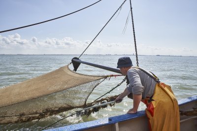 Visser op zee