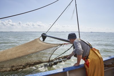 Visser op zee Visser op zee