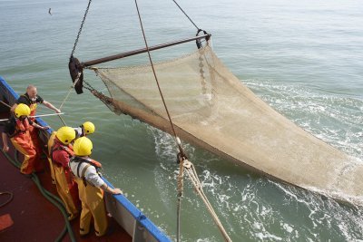 Vissers op zee 