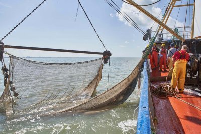 Vissers op zee. Ze staan op het punt om het visnet boven te halen en de visvangst te sorteren.