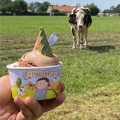 Hoeve-ijs Engelenveld