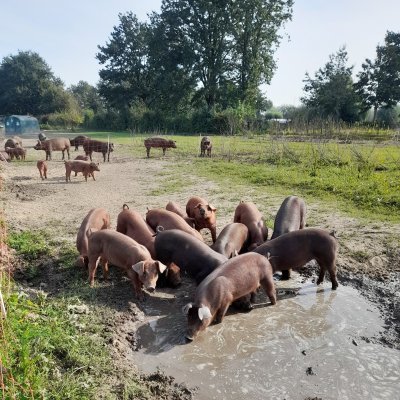 Overige informatie