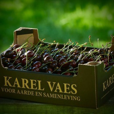 Welke producten kan je hier vinden?