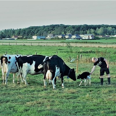Welke producten kan je hier vinden?