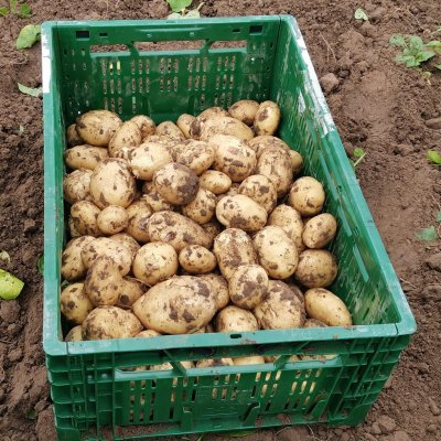 Welke producten kan je hier vinden?
