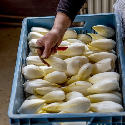 Welke producten kan je hier vinden?