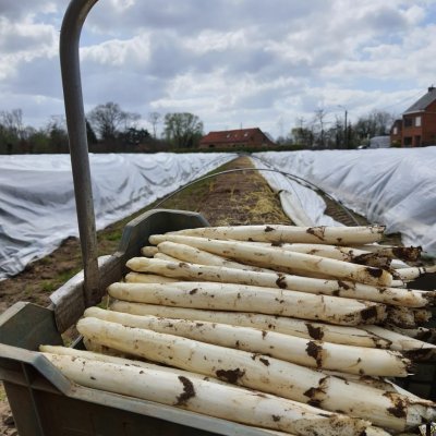 Welke producten kan je hier vinden?