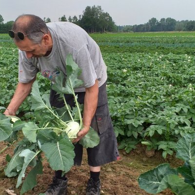 Welke producten kan je hier vinden?