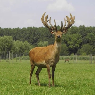 Welke producten kan je hier vinden?