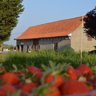Kop