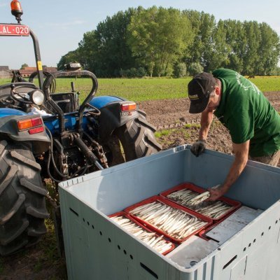 Welke producten kan je hier vinden?