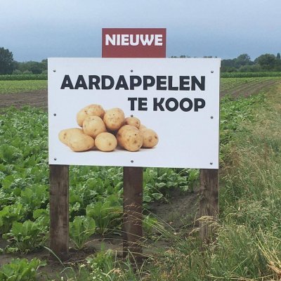 Kop