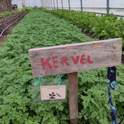 Welke producten kan je hier vinden?