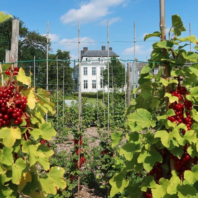 Bioboerderij Blauw Kasteel