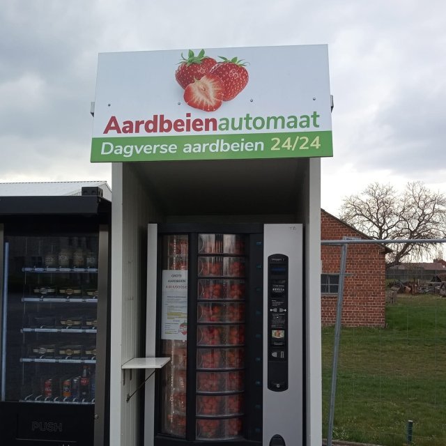 Aardbeien Van Overbeke 