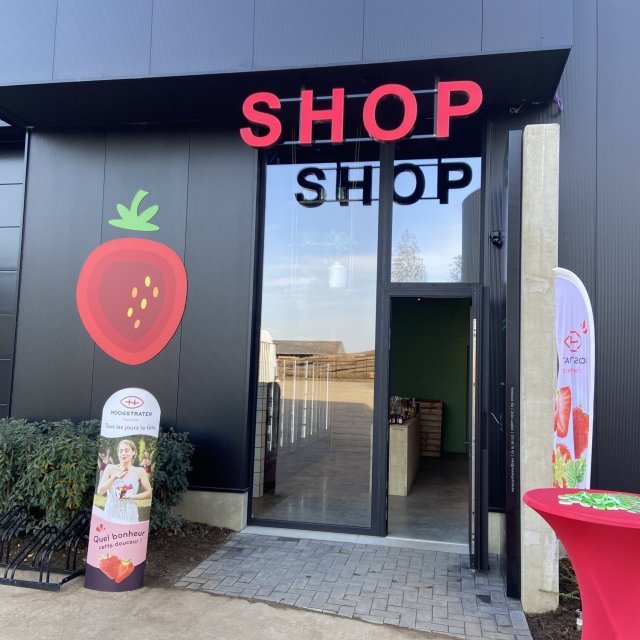 Morango Fruits SHOP