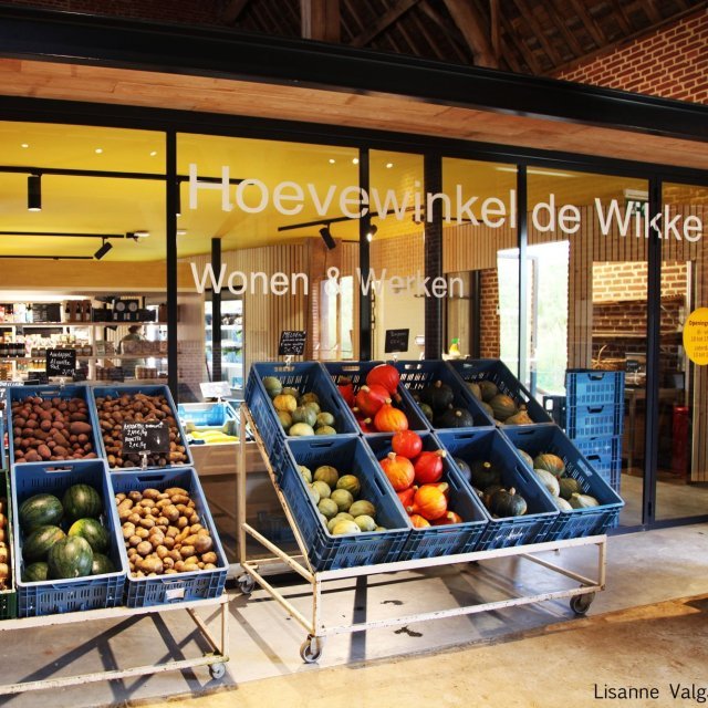 De Wikke 