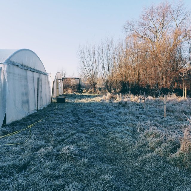 Monckenhove - 't laatste veld