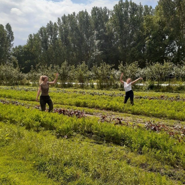 Oogstgoed CSA-boerderij