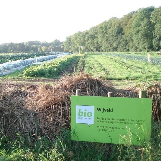 Wijveld - CSA-boerderij