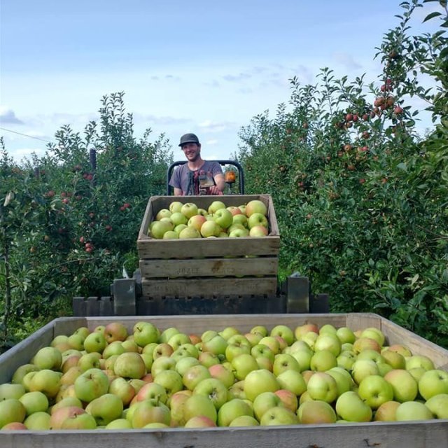 De Fruittuin