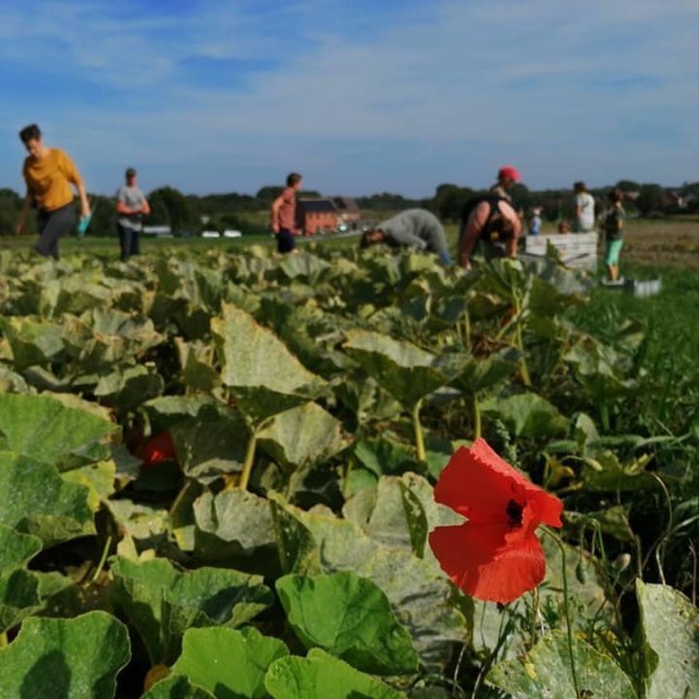 Afhaalpunt 't Legumenhofke - Oud-Heverlee